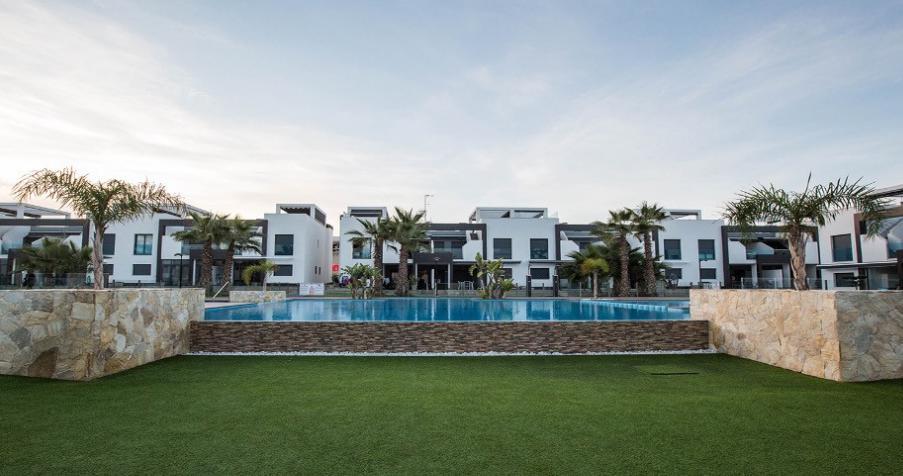 Oasis