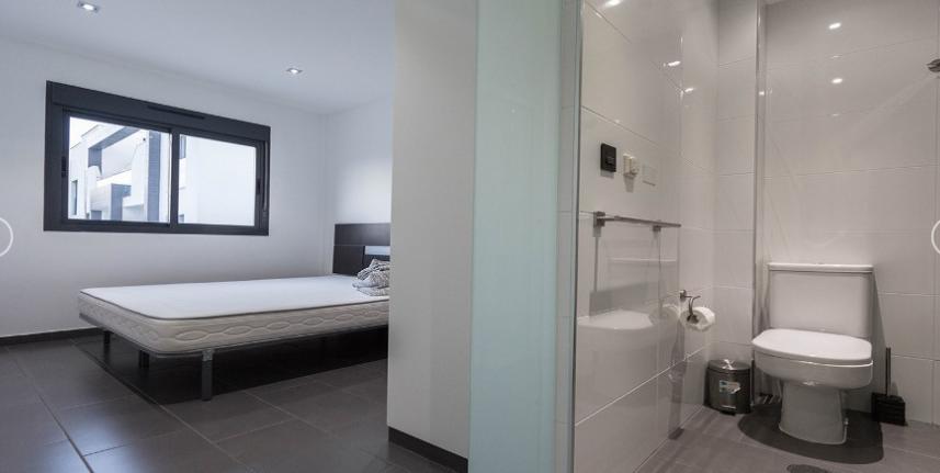 Apartament Oasis